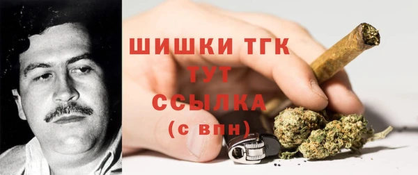 ГАЛЛЮЦИНОГЕННЫЕ ГРИБЫ Вязники