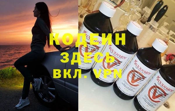 шишки Верхний Тагил