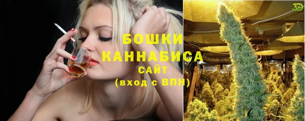 мдпв Бородино