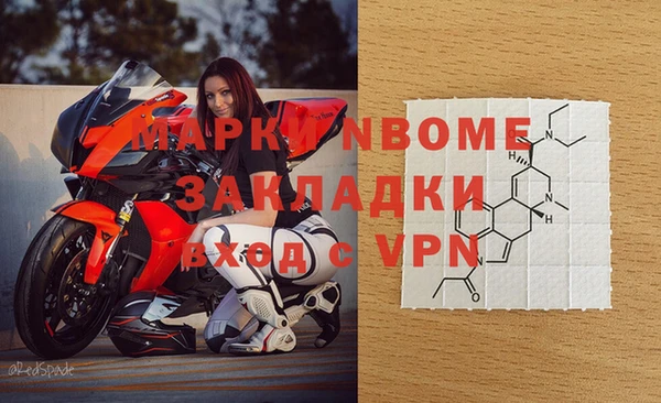 шишки Верхний Тагил