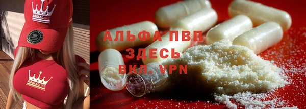 шишки Верхний Тагил