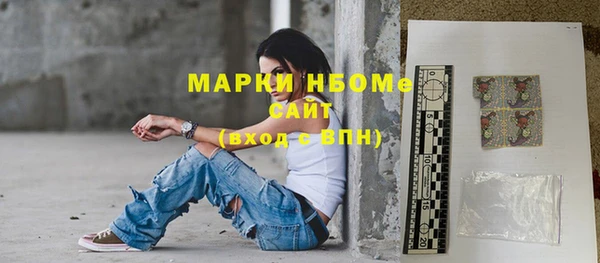 шишки Верхний Тагил