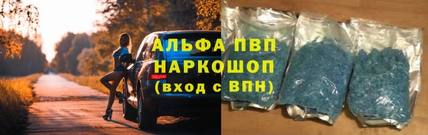 шишки Верхний Тагил